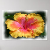 黄色の赤いハイビスカスフラワーアートフォト絵画ズ ポスター (正面)
