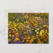 黄色の野の花 ポストカード (正面/裏面)