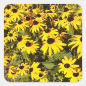 黄色の野草畑 スクエアシール (正面)