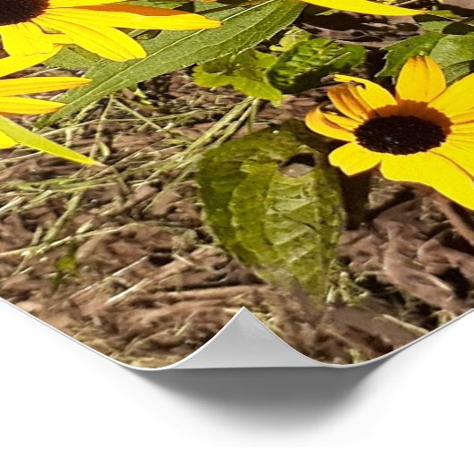 黄色の野草畑 ポスター (角)