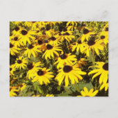 黄色の野草畑 ポストカード (正面)