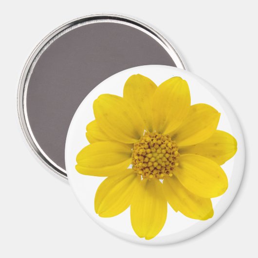 黄色の野草 マグネット (正面/裏面)