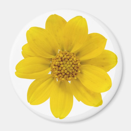 黄色の野草 マグネット (正面)