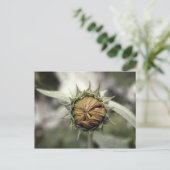 黄色の閉じた花びらの太陽の花 ポストカード (スタンド正面)