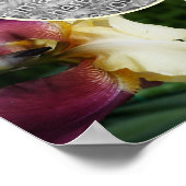 黄色の髭の虹彩の花自分の写真を作成 ポスター (角)