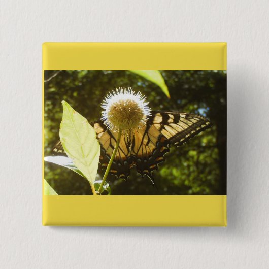 黄色の（昆虫）オオカバマダラ、モナークボタン 缶バッジ (正面)