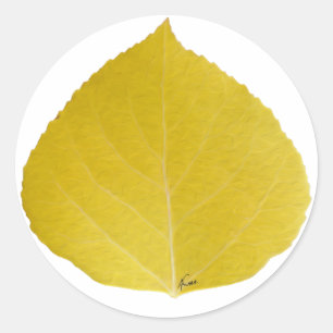 黄色の《植物》アスペンリーフ#5 ラウンドシール