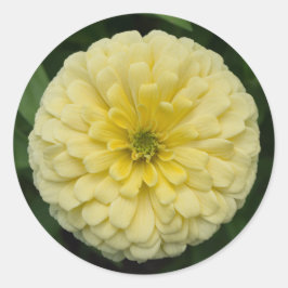 黄色の《植物》百日草フラワーラウンドシール ラウンドシール