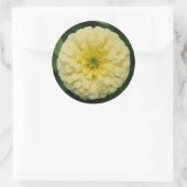 黄色の《植物》百日草フラワーラウンドシール ラウンドシール (バッグ)