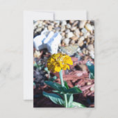 黄色の《植物》百日草フローラと蛾の写真 カード (正面)