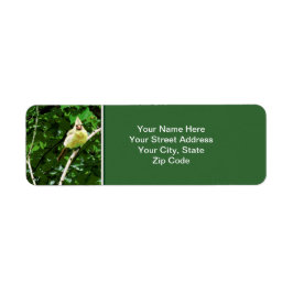 黄色の（鳥）ショウジョウコウカンチョウ鳥の写真の戻り値AddressLabel ラベル