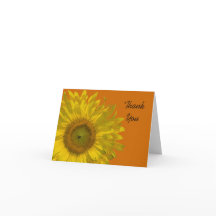 黄色ひまわりオンオレンジ