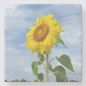 黄色ひまわりコースター ストーンコースター (正面)