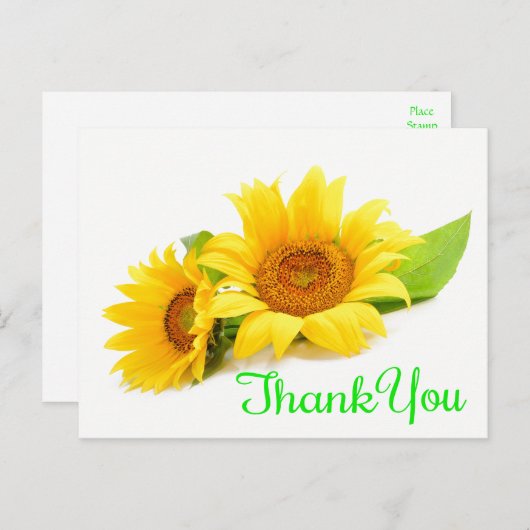 黄色ひまわりサンフラワーありがとう緑の結婚式の花 ポストカード (正面/裏面)