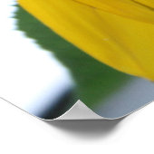 黄色ひまわりマクロアート ポスター (角)