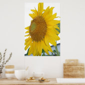 黄色ひまわりマクロアート ポスター (キッチン)