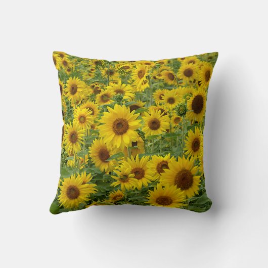 黄色ひまわり畑 クッション (裏面)