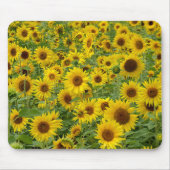 黄色ひまわり畑 マウスパッド (正面)