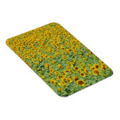 黄色ひまわり畑 マグネット (右側)