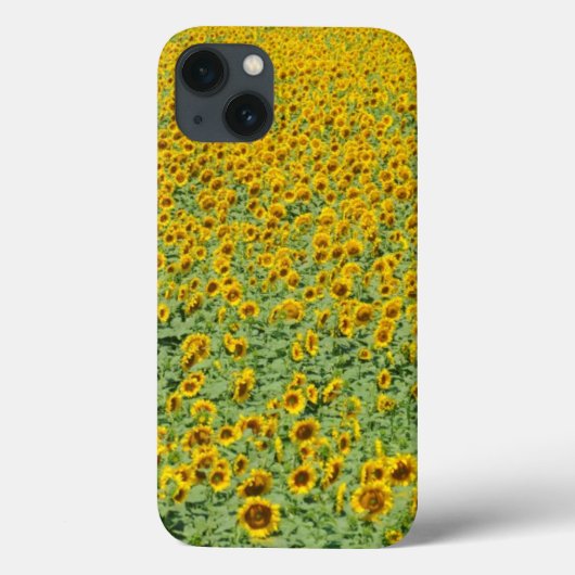 黄色ひまわり畑 Case-Mate iPhoneケース (裏面)