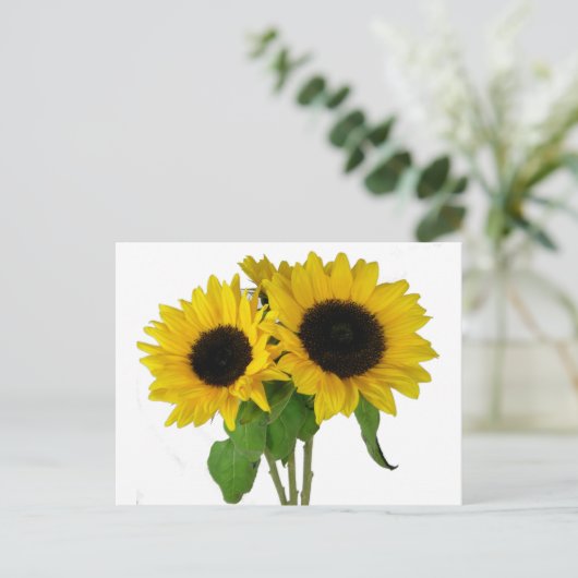 黄色ひまわり空白のフローラはがき ポストカード (スタンド正面)