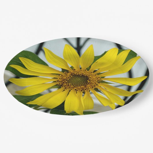 黄色ひまわり繊細な植物性フローラ ペーパープレート (アングル)