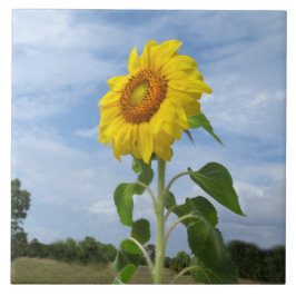 黄色ひまわり雲スパイゲランドタイル タイル