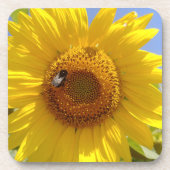 黄色ひまわり コースター (正面)