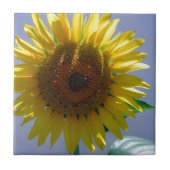 黄色ひまわり タイル (正面)
