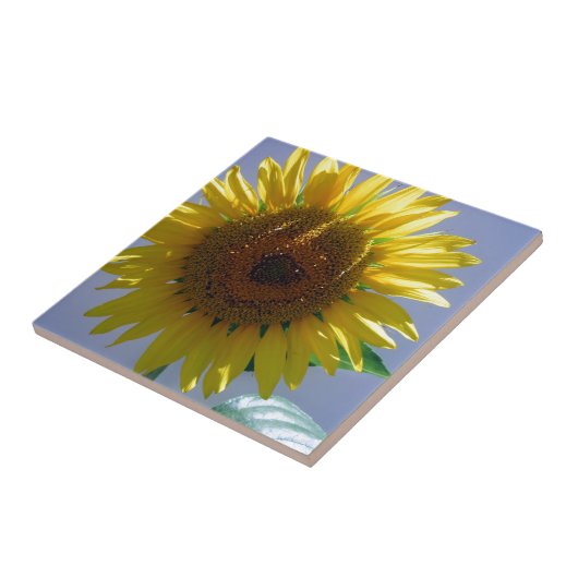 黄色ひまわり タイル (側面)