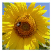 黄色ひまわり ポスター (正面)