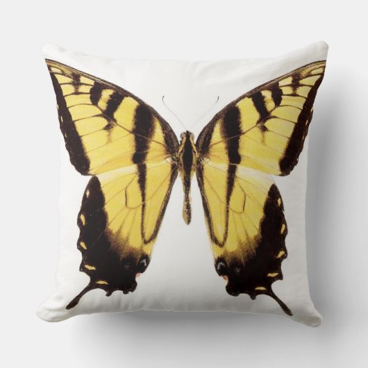 黄色または黒のアゲハチョウの蝶装飾用クッション クッション (正面)