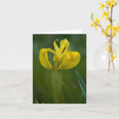 黄色アイリスメッセージカード カード (黄色い花)