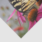 黄色アゲハチョウ蝶オンエキナセア 薄葉紙 (詳細)