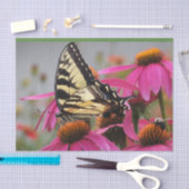 黄色アゲハチョウ蝶オンエキナセア 薄葉紙 (クラフト)