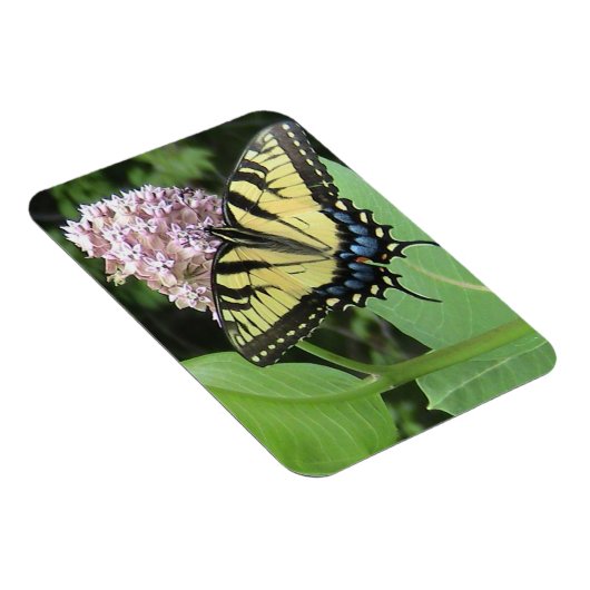 黄色アゲハチョウ蝶フレキシマグネット マグネット (右側)