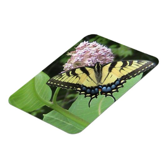 黄色アゲハチョウ蝶フレキシマグネット マグネット (左側)