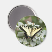 黄色アゲハチョウ蝶マグネット マグネット (正面/裏面)