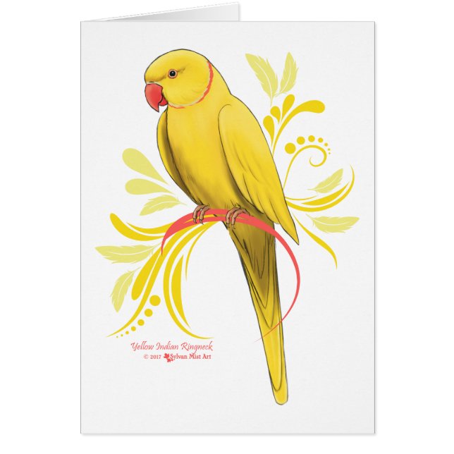 黄色インディアンリンネックオウム (正面)