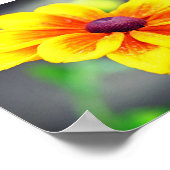 黄色エレガント独身のオレンジダリア花 ポスター (角)