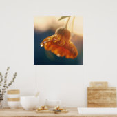 黄色オレンジのマリゴールド花ドロップマクロ ポスター (キッチン)