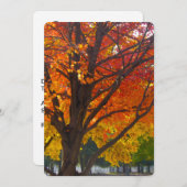 黄色オレンジの紅葉 招待状 (正面/裏面)