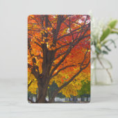 黄色オレンジの紅葉 招待状 (スタンド正面)