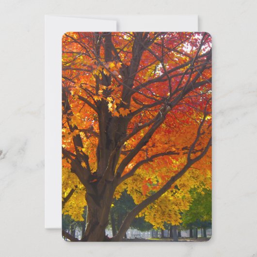 黄色オレンジの紅葉 招待状 (正面)