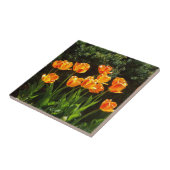 黄色オレンジチューリップのタイル タイル (側面)