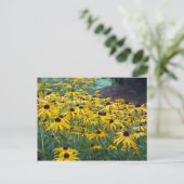 黄色カラフル黒目スーザンフローラ写真 ポストカード (スタンド正面)
