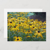 黄色カラフル黒目スーザンフローラ写真 ポストカード (正面/裏面)