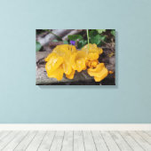 黄色キノコ キャンバスプリント (インサイチュ (ウッドフロア))