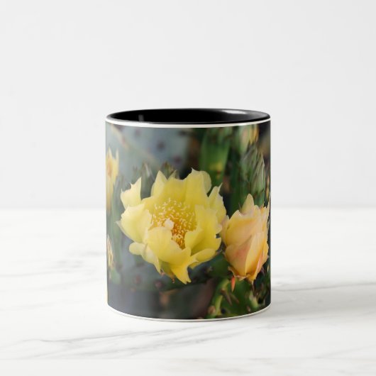 黄色サボテンの花マグカップ ツートーンマグカップ (中央)
