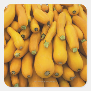 黄色ズッキーニのかご スクエアシール